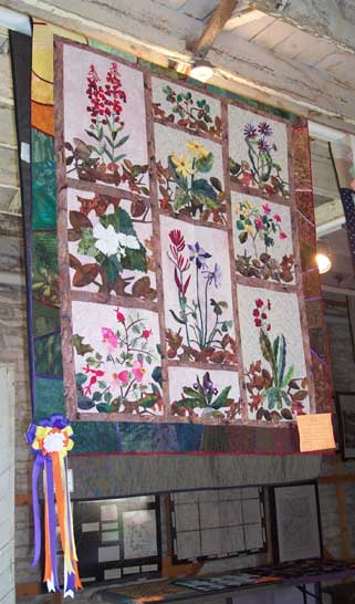 Winning Quilt 2009
