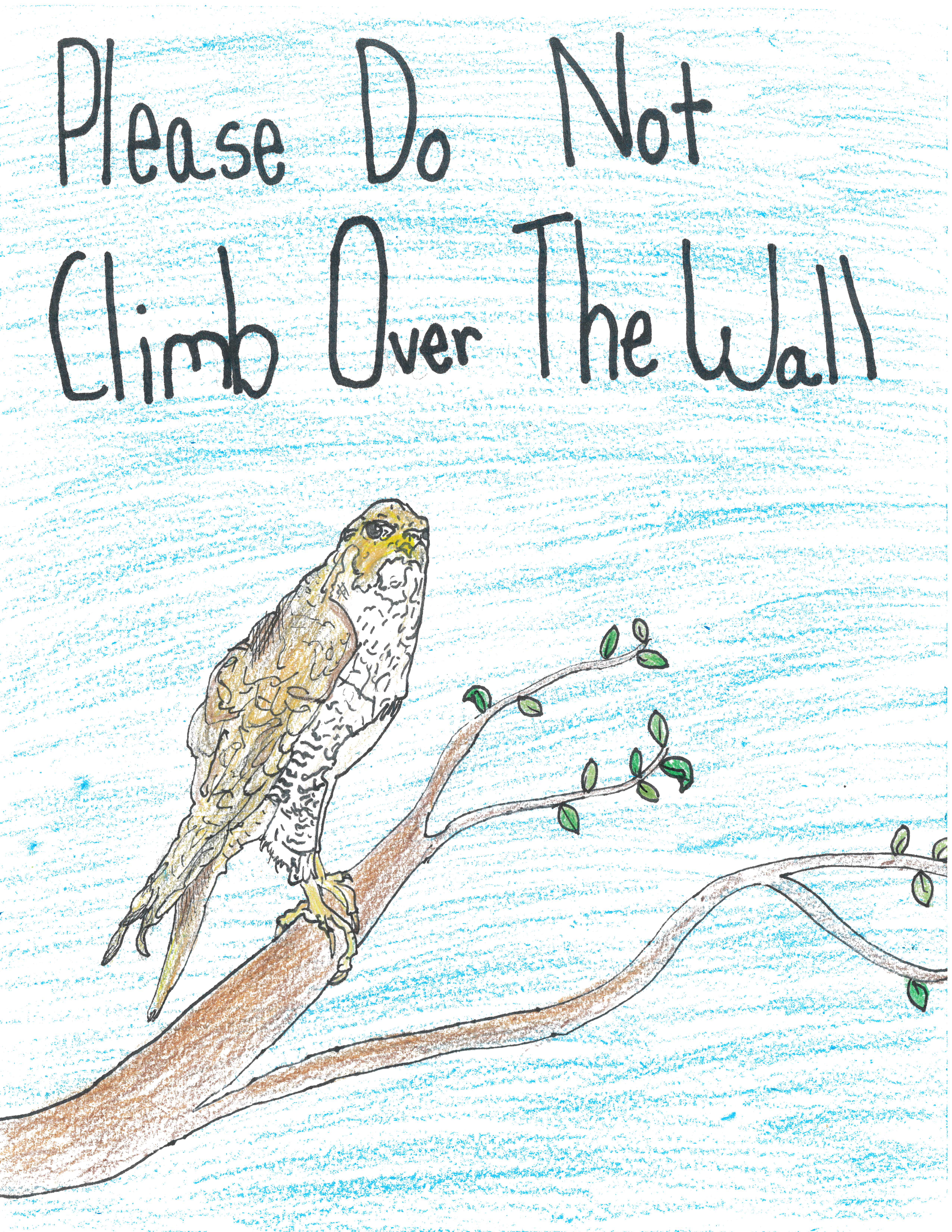 A drawing of a peregrine falcon with text that says "please do not climb over the wall"