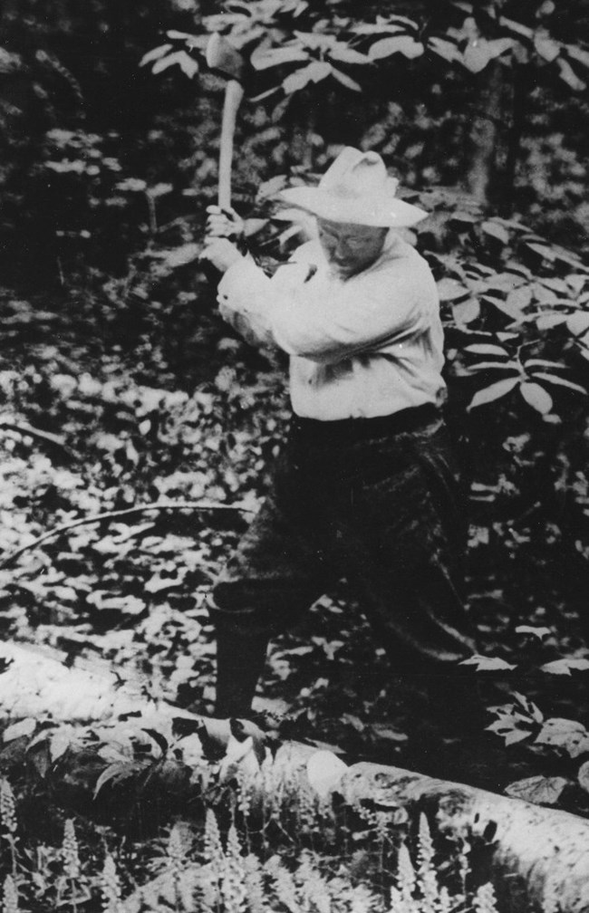Theodore chopping wood-1905