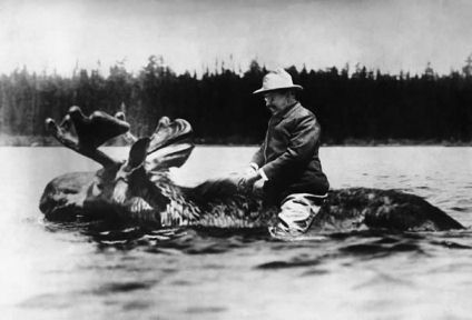 theodore roosevelt on moose