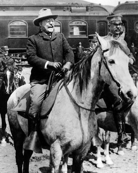 theodoreroosevelthorse
