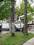 AAT- Utility truck relocating lines