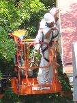 ACV-Painters at work.