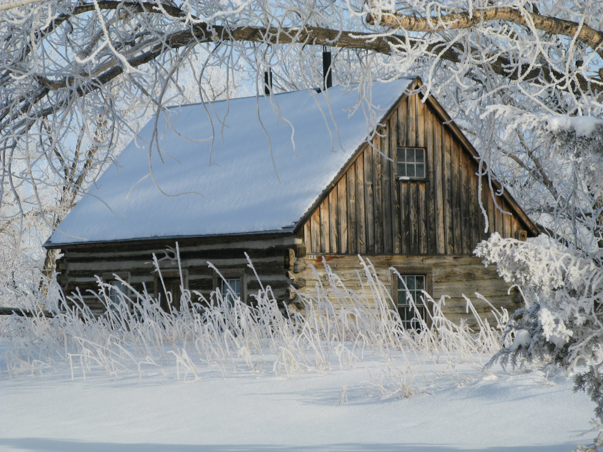THRO Winter