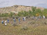 IPMT Crew Spraying