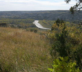 Little Missouri River from near River Bend Overlook in North Unit Little Missouri River from near River Bend Overlook in North Unit