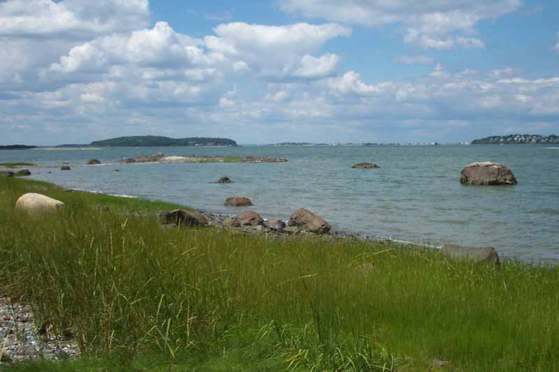 Grape island looking east