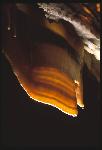 Cave Bacon forms on slanted surfaces, and is called "bacon" instead of drapery, when the characteristic layers are present.