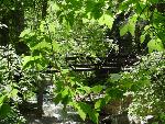 bridge1