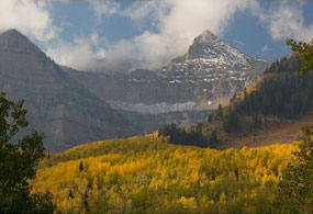 Mt. Timpanogos towers over golden aspen trees.