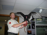 Throughout the season, guest speakers bring live animals. Attend "Birds of Prey" and meet our feathered friends! 