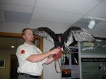 Throughout the season, guest speakers bring live animals. Attend "Birds of Prey" and meet our feathered friends!
