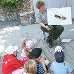 Ranger Roberta leads a Junior Ranger program on ants.