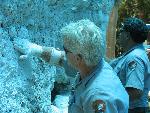 Applying lime