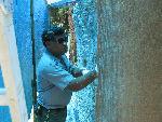 Burlap covers applied lime wash