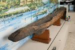 Dugout Canoe