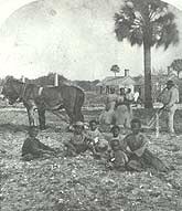 Historic photograph of slave family in field