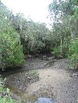 Low Tide