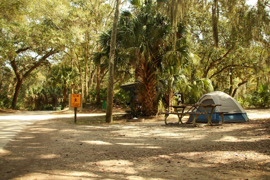 a campsite with a green tent