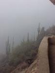fog at the Lower Cliff Dwelling