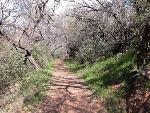 riparian area