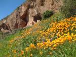 spring at the Upper Cliff Dwelling