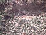 Lower Cliff Dwelling annex