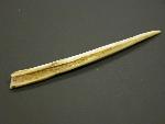 bone awl