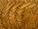 closeup view of yucca mat