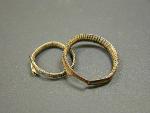 rings made from barrel cactus spines
