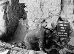 Lower Cliff Dwelling excavation