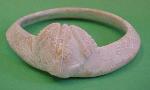 shell bracelet with carved frog