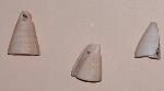 shell tinklers