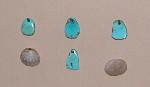 shell and turquoise jewelry
