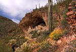 Lower Cliff Dwelling