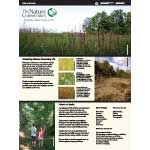 The Nature Conservancy
