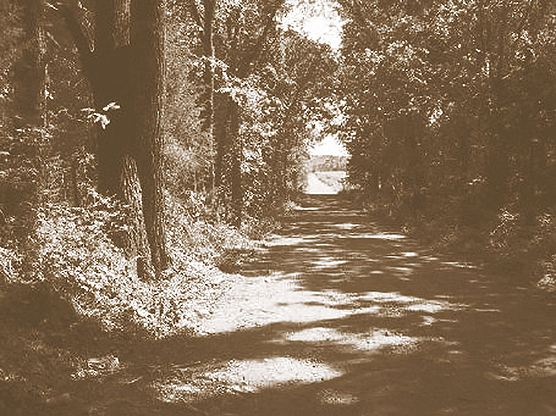 southwest trail
