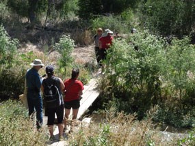 hikers and ranger crossing footbridge over creek