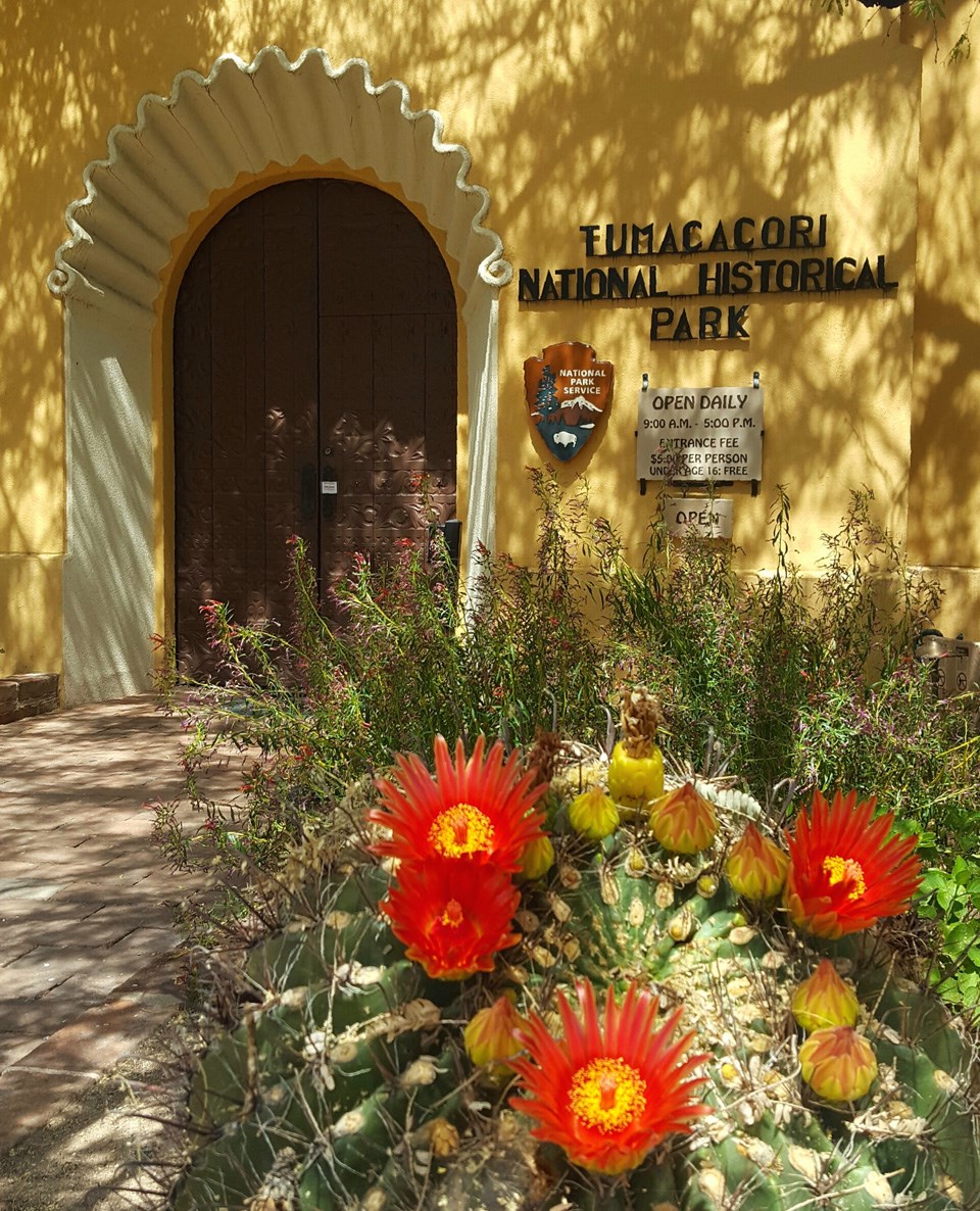 visitor center front door with cactus flower