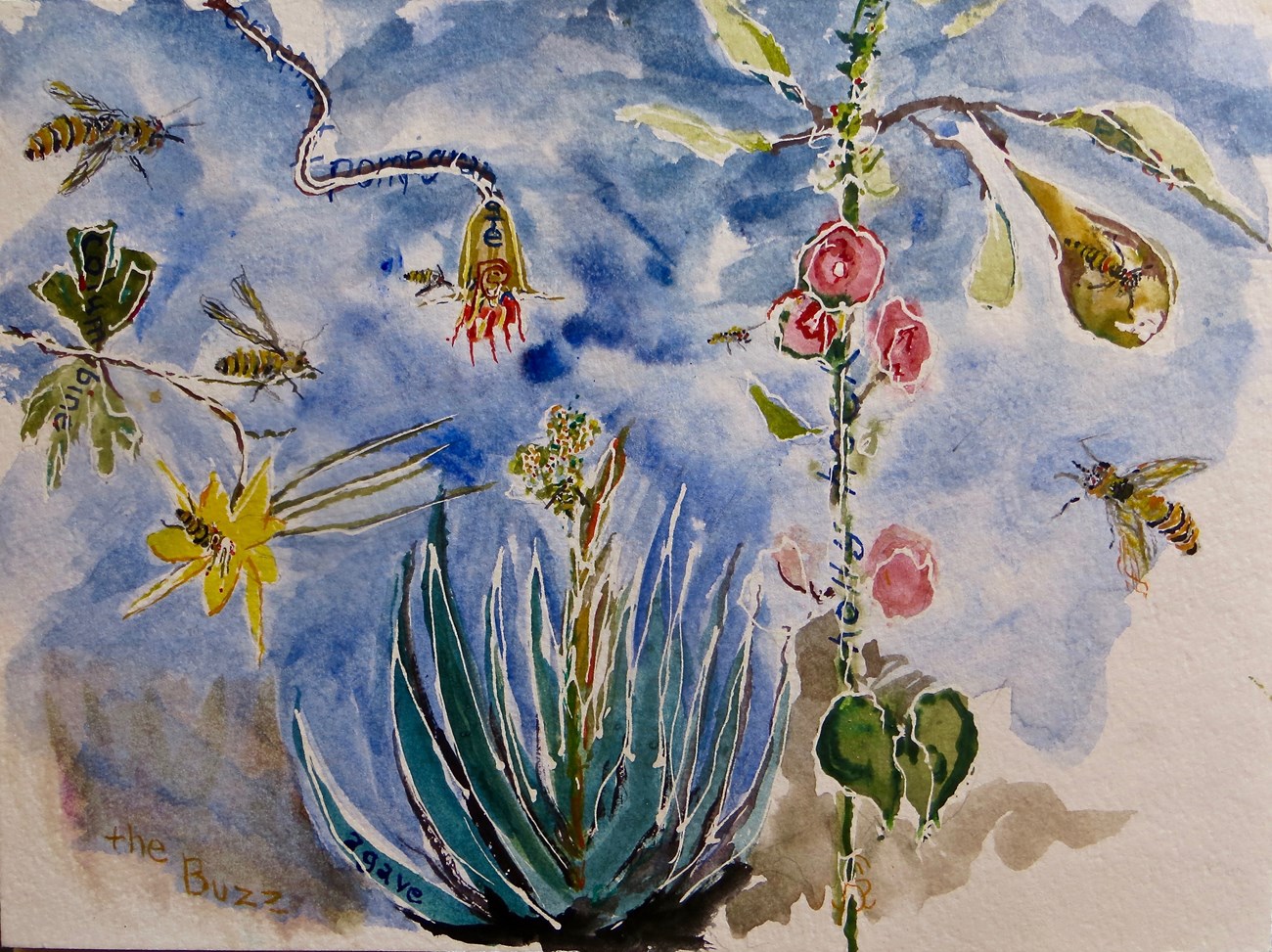 Watercolor painting of desert plants and insects.