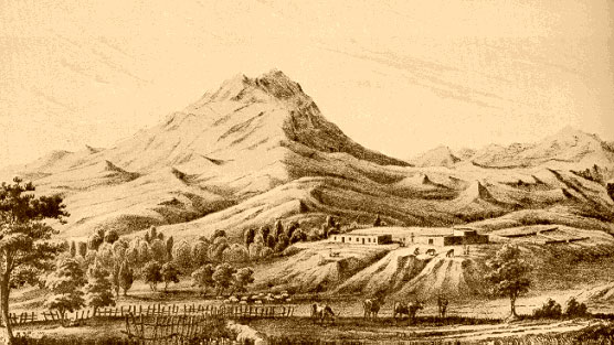 Calabazas 1853