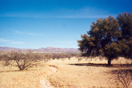 Divisadero Ranch, looking east