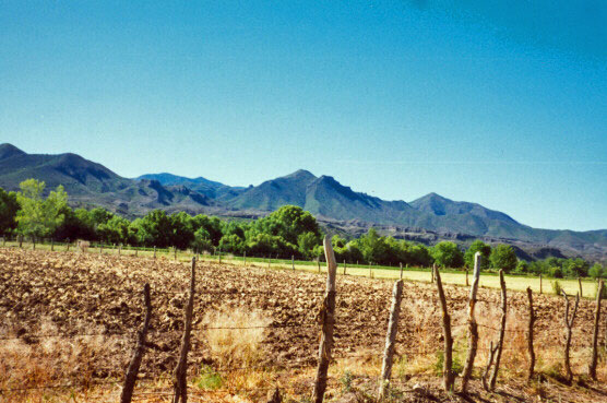 Sonoran farm fields