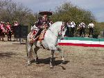 Dancing Horse and Mariachi Band