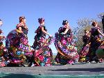 Seguridad Social Folkloricos