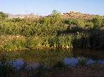 Tavasci Marsh