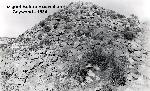 Before excavation - Tuzigoot Ruins