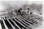 Reconstructing Tuzigoot - Thatching of tower room