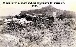 Reconstructing Tuzigoot - Timbers for Museum
