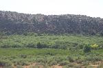 Tavasci Marsh Middle Section
